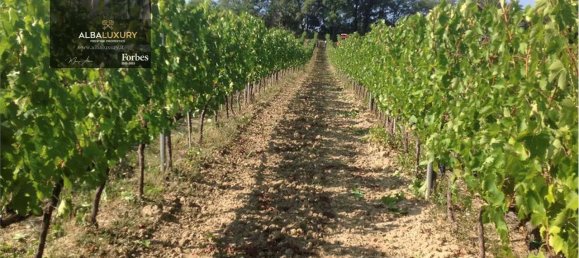 25 bedrooms Castles in Chianciano Terme, Italy No. 71961 18