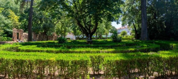 9 bedrooms House in Borba, Portugal No. 125256 3