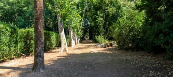 9 bedrooms House in Borba, Portugal No. 125256 13