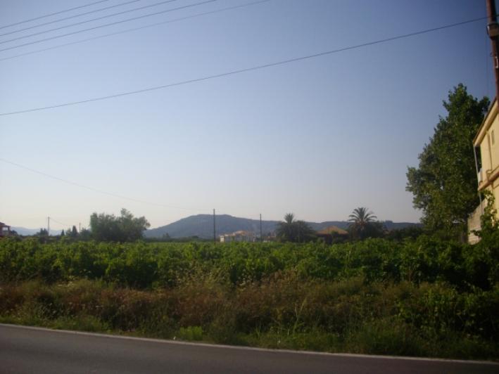 Hotel in Zakynthos, Greece, Nr. 712