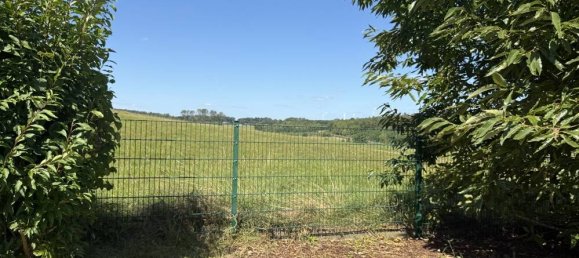 Бунгало с 1 спальней в Вестервальд, Германия № 332020 25