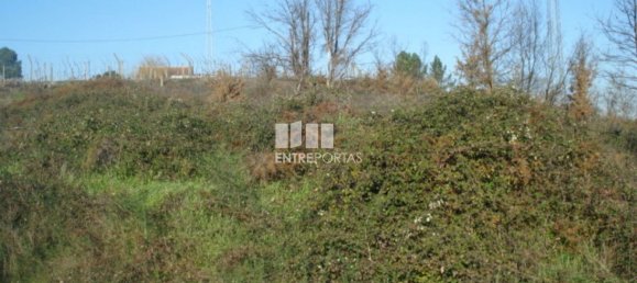 Grundstück in Marco de Canaveses, Portugal 8500m², Nr. 57428 6