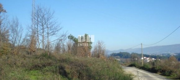 Grundstück in Marco de Canaveses, Portugal 8500m², Nr. 57428 29