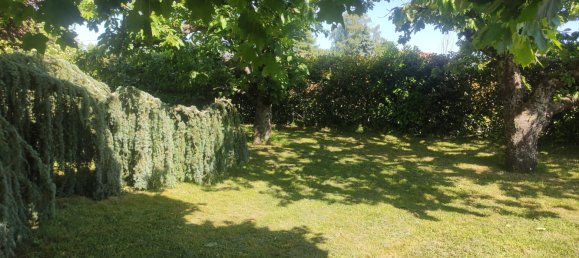 3 bedrooms House in Saint-Dye-sur-Loire, France No. 229384 3