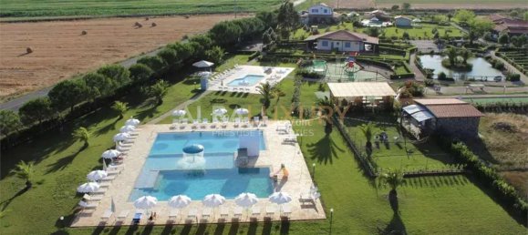 30 bedrooms Villa in Grosseto, Italy No. 442 5