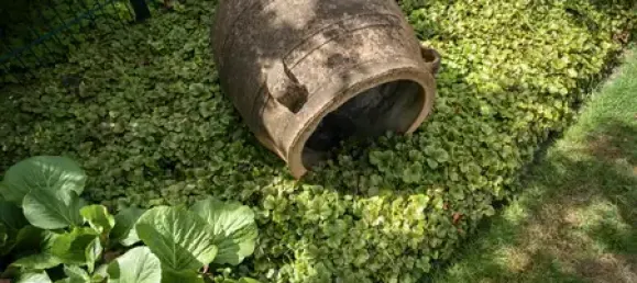 4 rooms House in Recklinghausen, Germany No. 234422 2