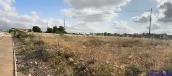 Terrain à Fuente Alamo, Spain 700m² No. 152565 8