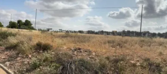 Terrain à Fuente Alamo, Spain 700m² No. 152565 10