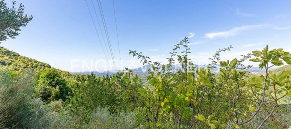 6220m² Land in Rocca di Cave, Italy No. 307259 3