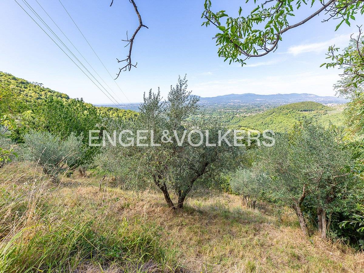 6220m² Land in Rocca di Cave, Italy No. 307259