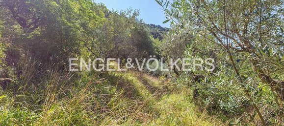 6220m² Land in Rocca di Cave, Italy No. 307259 9