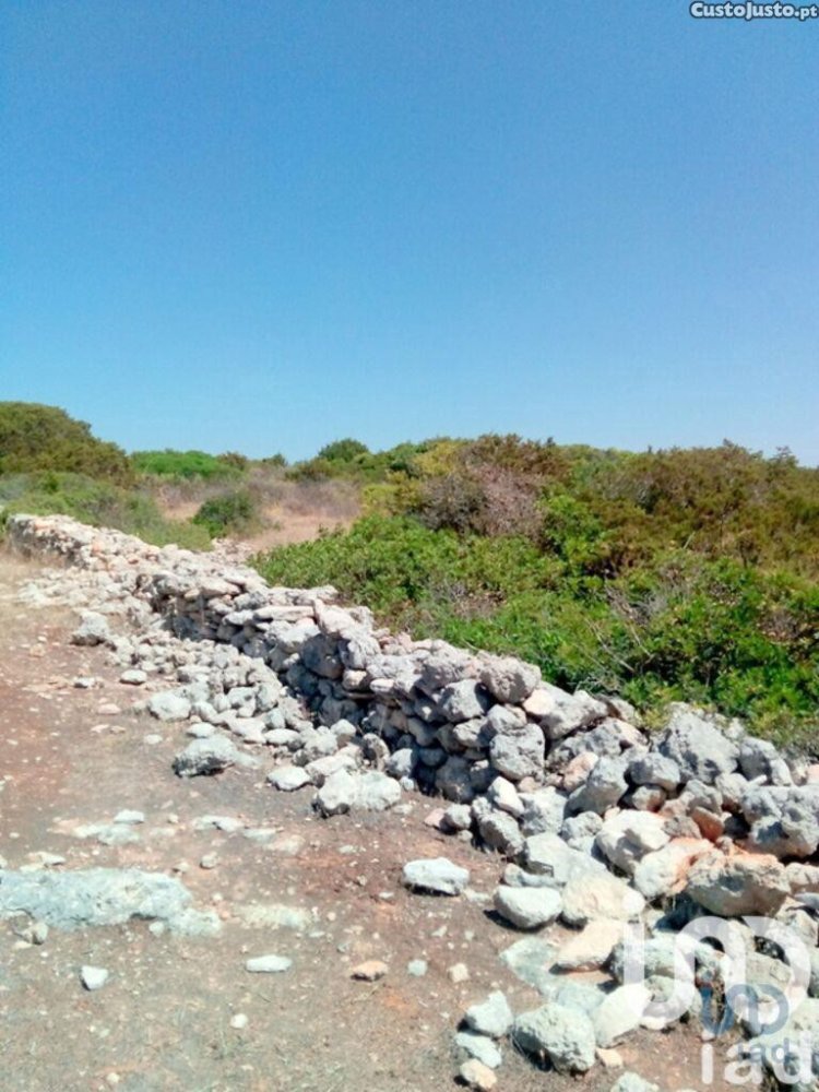 22010m² Land in Porches, Portugal No. 212063