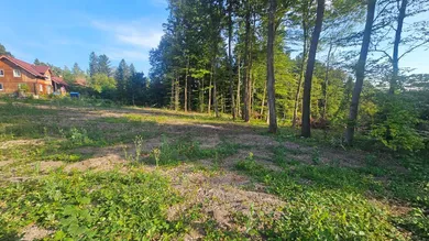 Terrain à Altlengbach, Austria No. 196083