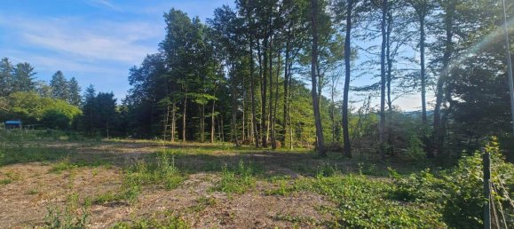 Terrain à Altlengbach, Austria No. 196083 4