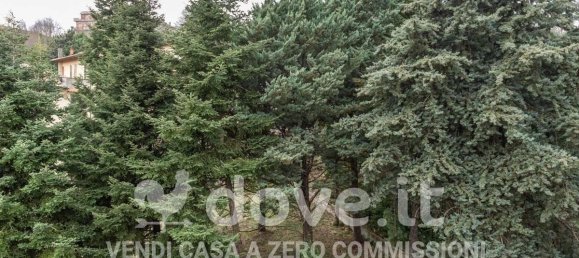 3غرفة شقة في Montepulciano, Italy رقم 41369 4