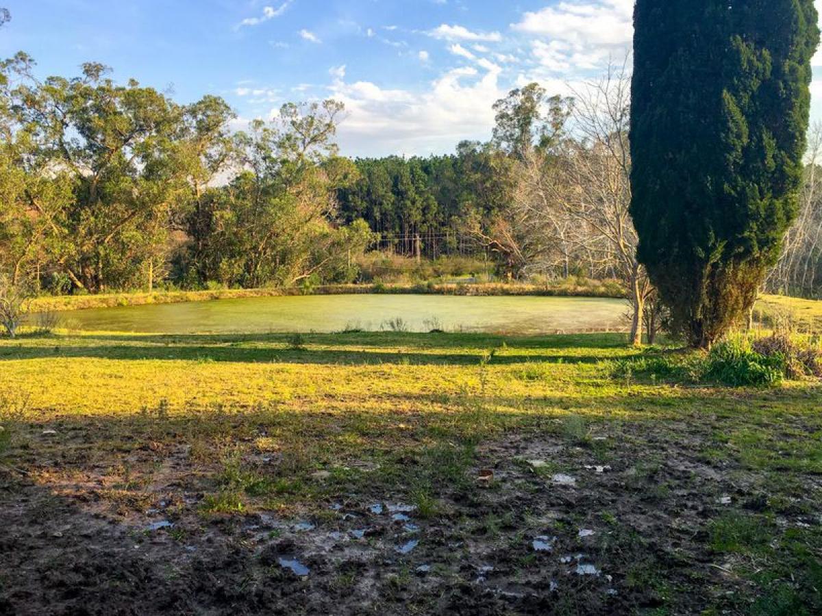  Farm in Maldonado, Uruguay No. 15077