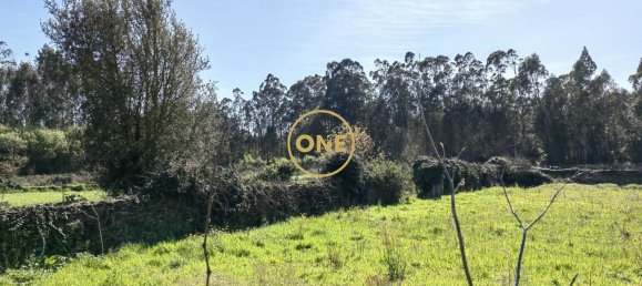 Grundstück in Esposende, Portugal 4700m², Nr. 51719 7