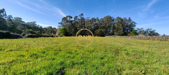 Grundstück in Esposende, Portugal 4700m², Nr. 51719 10