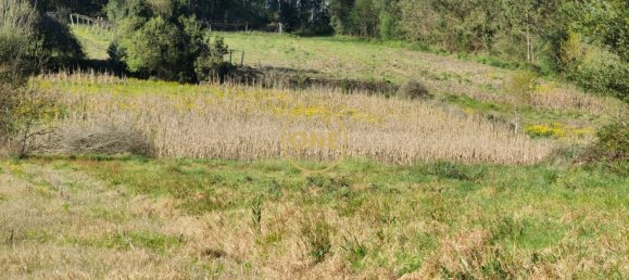 Grundstück in Esposende, Portugal 4700m², Nr. 51719 14