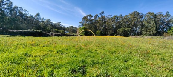 Grundstück in Esposende, Portugal 4700m², Nr. 51719 4