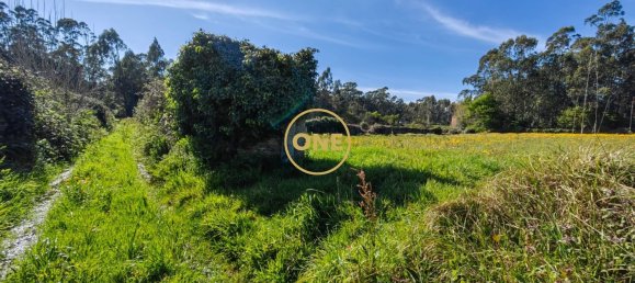 Grundstück in Esposende, Portugal 4700m², Nr. 51719 15