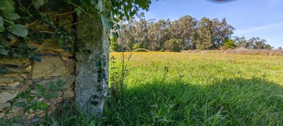 Grundstück in Esposende, Portugal 4700m², Nr. 51719 5
