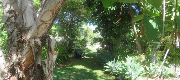 4 bedrooms House in Chillagoe, Australia No. 1039 17