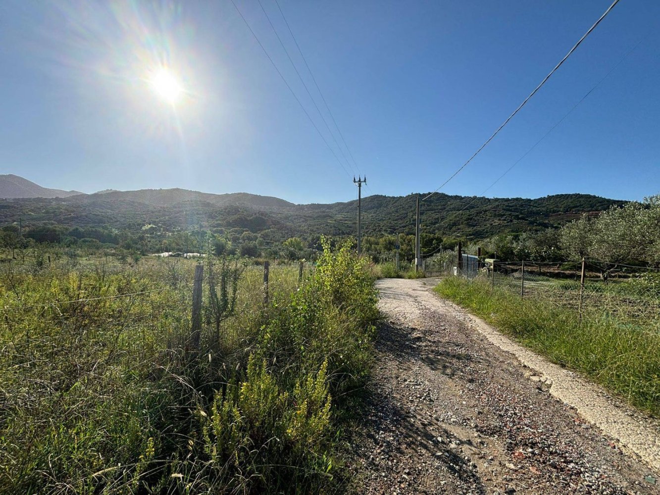 Grundstück in Ascea, Italy 1500m², Nr. 321473