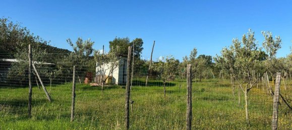 Grundstück in Ascea, Italy 1500m², Nr. 321473 3