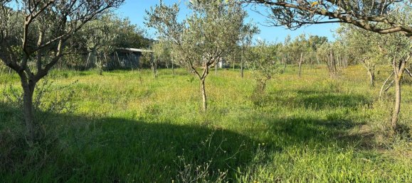 Grundstück in Ascea, Italy 1500m², Nr. 321473 4