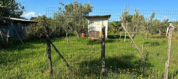 Grundstück in Ascea, Italy 1500m², Nr. 321473 5