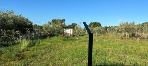 Grundstück in Ascea, Italy 1500m², Nr. 321473 2