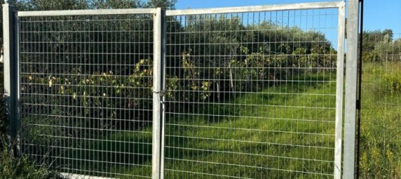 Grundstück in Ascea, Italy 1500m², Nr. 321473 7