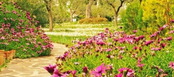 Villa de 15 divisões em Città Sant'Angelo, Italy N.º 161660 44