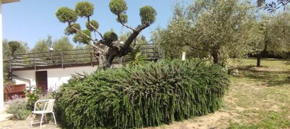 Villa de 15 divisões em Città Sant'Angelo, Italy N.º 161660 31