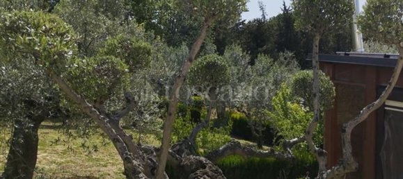 Villa de 15 divisões em Città Sant'Angelo, Italy N.º 161660 45