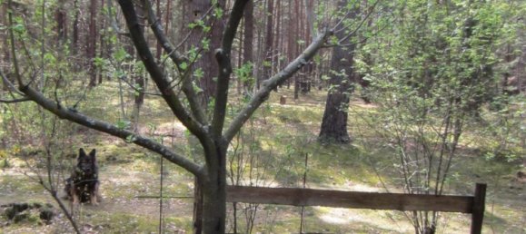 Земельный участок в Тельтов-Флеминг, Германия № 224048 5