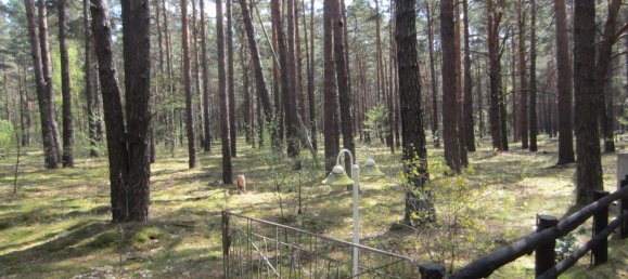 Земельный участок в Тельтов-Флеминг, Германия № 224048 3