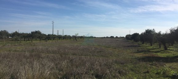 10000m² Land in Torres Novas, Portugal No. 75698 3