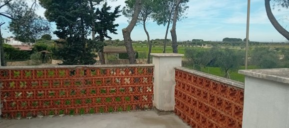 6 chambres Villa à Mottola, Italy No. 356993 18