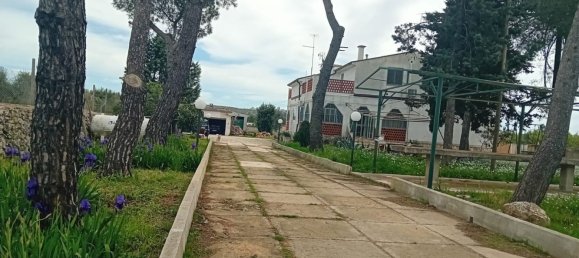 6 chambres Villa à Mottola, Italy No. 356993 3