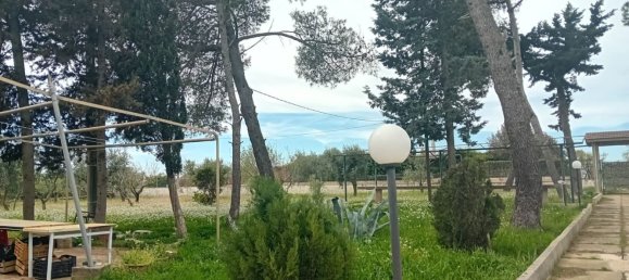 6 chambres Villa à Mottola, Italy No. 356993 12