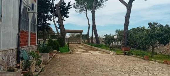 6 chambres Villa à Mottola, Italy No. 356993 13