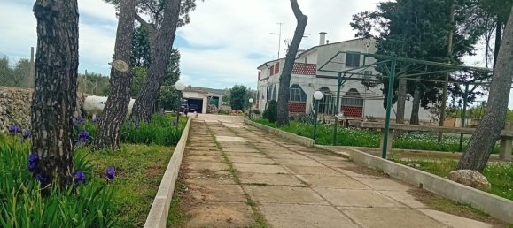 6 chambres Villa à Mottola, Italy No. 356993 6