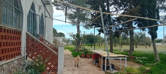 6 chambres Villa à Mottola, Italy No. 356993 9