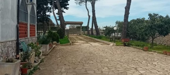 6 chambres Villa à Mottola, Italy No. 356993 10