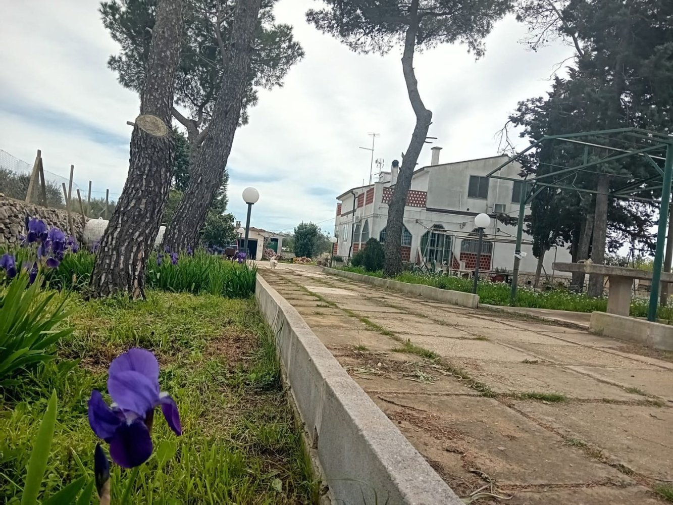 6 chambres Villa à Mottola, Italy No. 356993