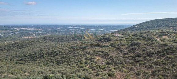 4 غرف نوم فيلا في Faro, Portugal رقم 127757 20