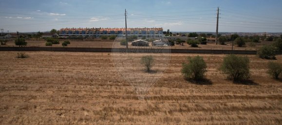 Земельный участок 16200м² в Монтижу, Португалия № 80080 3