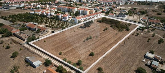 Земельный участок 16200м² в Монтижу, Португалия № 80080 8